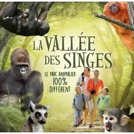 Les Roches Hébergement de vacances *